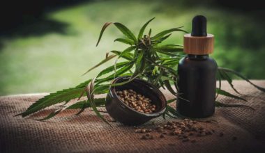 CBD crude oil