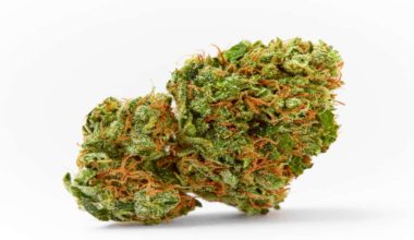 Cooking with cannabis