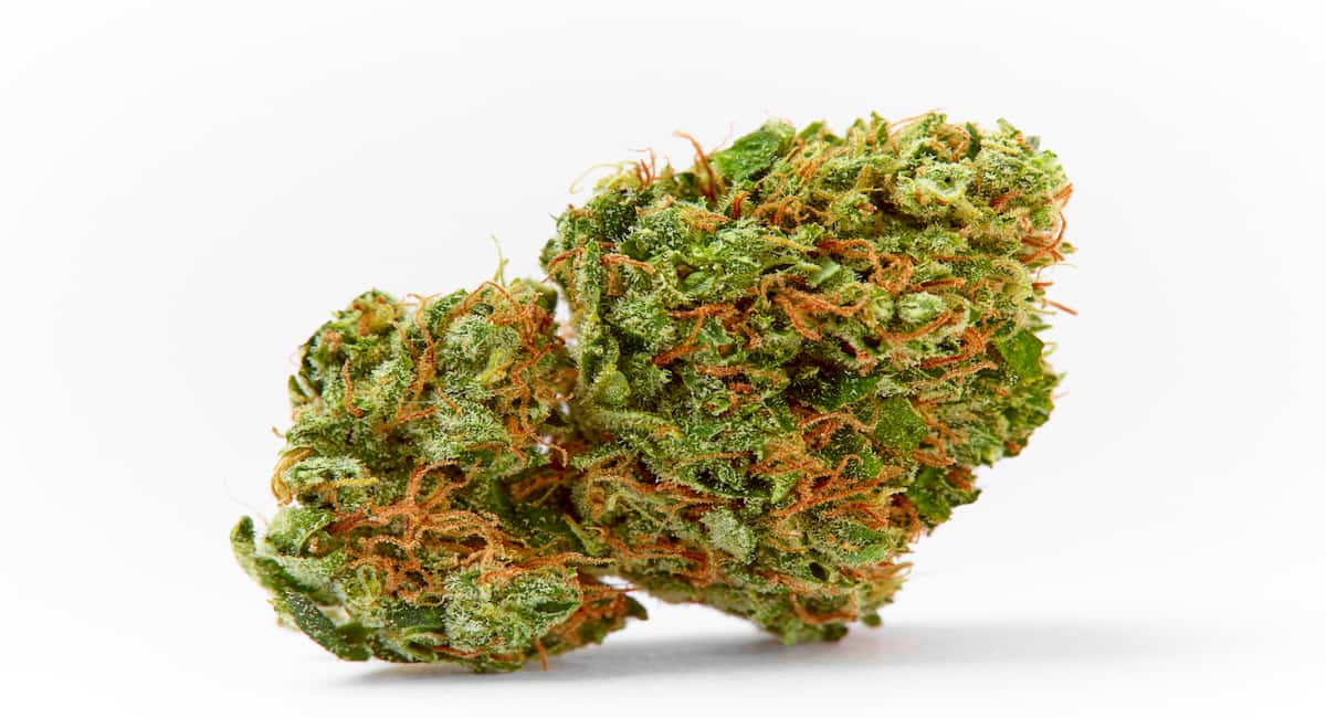 Cooking with cannabis