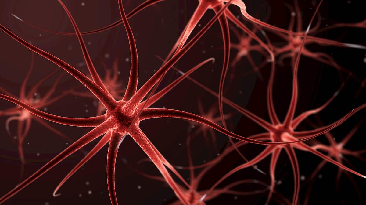 Biofeedback vs neurofeedback