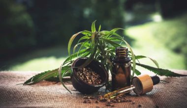 Best time of day to take cbd oil