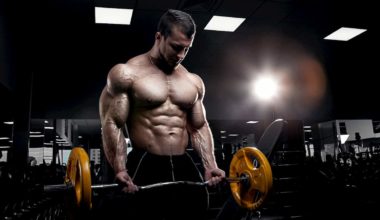 Hlamour muscles