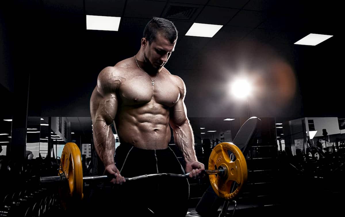 Hlamour muscles