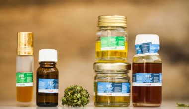How to start a cbd business