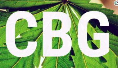 Benefits of CBG