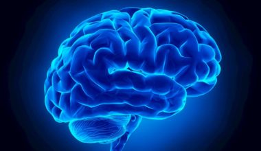 Neurofeedback therapist