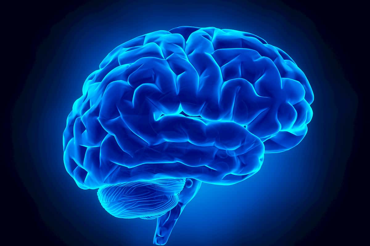 Neurofeedback therapist