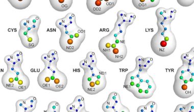 Examining Ligand and Protein Interactions