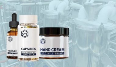 Which CBN Products Sell the Best
